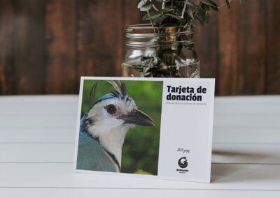 Identidad visual empresarial: Tarjeta de donación. Tiene una foto de la urraca cara blanca, el logotipo en blanco y negro y el monto de donación. Los visitantes pueden comprar esa tarjeta y su donación se destina para cuidar las urracas cara blanca.