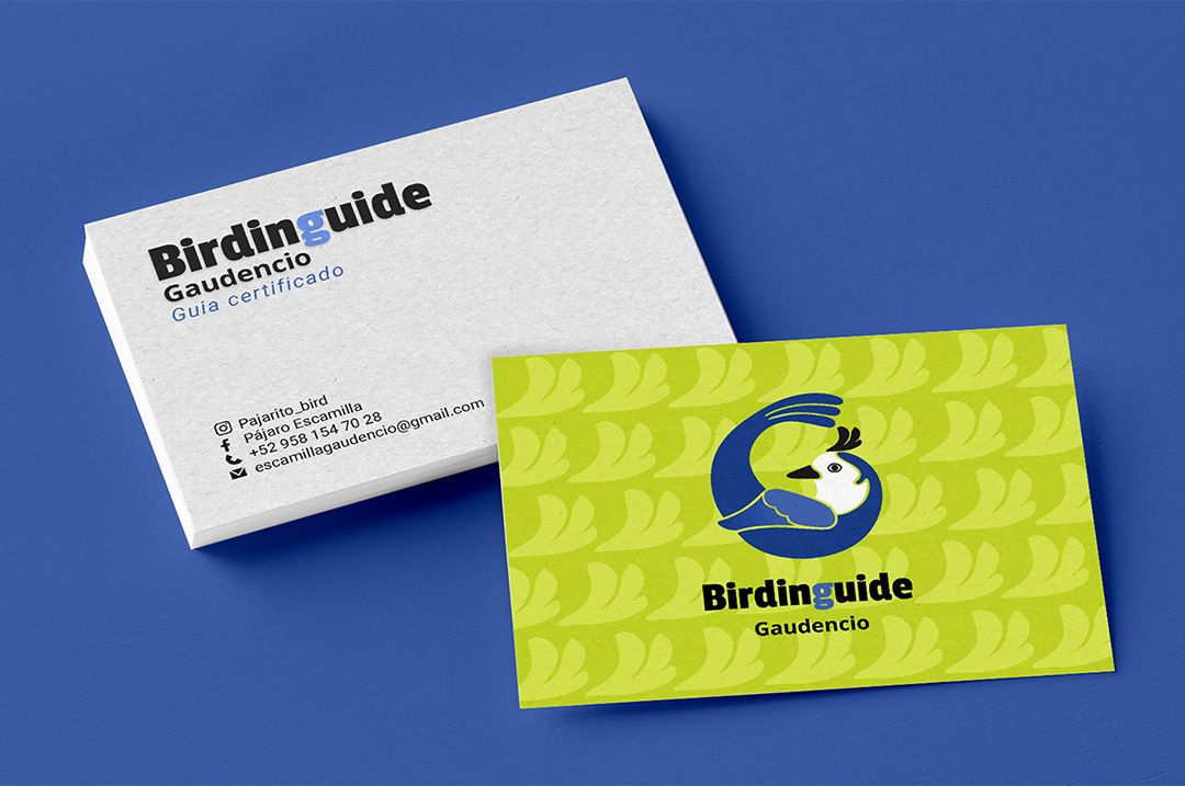 Tarjetas de presentación para Bridiguide. Las tarjetas de presentación tienen diseño al frente y atrás. En la parte delantera tiene un fondo color verde limón y una textura usando el copete del ave en del mismo color pero saturado de blanco. Encima está el logo de Bridinguide que es una urraca azul. Por detrás de las tarjetas tienen el nombre del emprendimiento y los datos de contacto.